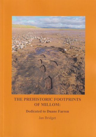 Prehistoric Footprints Of Millom